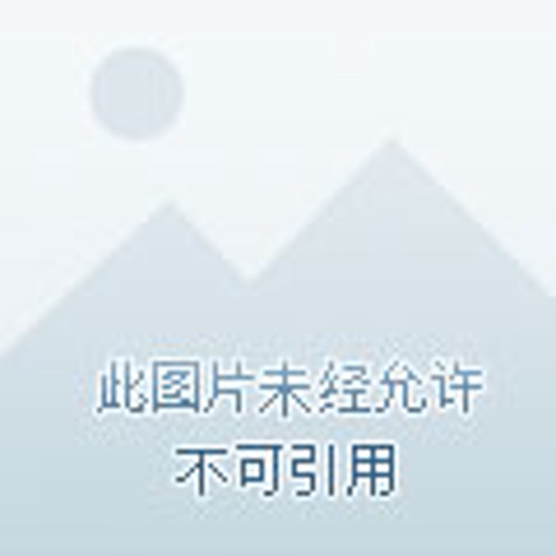江西逐鹿信息咨询